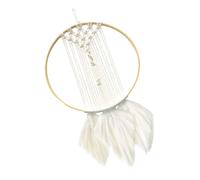 1pc Dreamcatcher Decorazione sospesa Dream Catcher Adornment Decor home Wall
