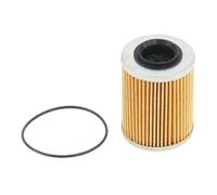 1PC Filtro Olio + O-Ring 63x2.5 0800-011300-A for CF ATV SSV UTV Accessori CF1000ATR 2V91Y-X10 CF400ATR 500 600 800 motore