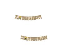 1pc Hello Spring Party Swallowtail Cotail Banner Banner Party Scene.