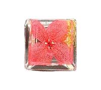 1PC Keycap Personalità Trasparenti Lamine d'oro Ricamo Profilo OEM R4s Keycap Tastiere da gioco Personalizzati Resine Keycaps Resine Artigianali Keycaps Meccanici