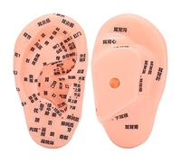 1PC Modello della Zona Dell'orecchio, Punto di Pressione Dell'orecchio Dell'orecchio Apprendimento del Modello di Agopuntura Umana per la Decorazione Dell'ufficio Domestico - 13 Cm (parole Cinesi)