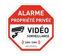1pc Nessun Segnale Stradale Allarme Video In Metallo Accesso Vietato Proprietà Privata Attenzione Cane Ingresso Avviso Di Svolta Nel Parcheggio(TYA0745-16,30x30cm)