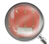 1PC New EL5101 EL5101 with Box