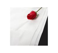 1pc Nylon Filtro a Rete 20 30 40 60 80 100 150 200 300 400 500 Maglia 830-25 Micron Nylon Filtro Acqua Vernice Inchiostro Purificare Maglia Tessuto (Color : 500Mesh 25Micron, Size : 1x1 Meter)
