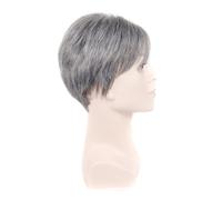 1Pc Parrucca corta grigio argento parrucca per capelli in fibra ad alta