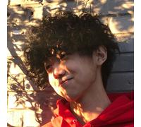 1pc parrucca corta realistica bouffant moda parrucche afro crespi capelli