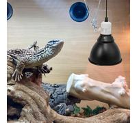 1pc rettile lampada a lampada in lega di alluminio lampada lampada appuntamento