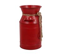 1pc secchiello da giardino in ferro per fiori, display, vaso da fiori, cesto