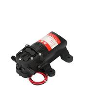 1pcs 12V 12V 110V 220V 70PSI Agricolo Elettrico Pompa Dell'acqua Spruzzatore per Auto Lavaggio DP-521 (12V)
