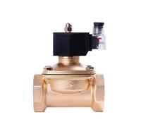 1PCS Elettrovalvola a solenoide EPDM-Seal da 2 pollici in ottone normalmente chiusa DN50 con indicatore di alimentazione LED (NPT_220VAC_EPDM-SEAL)