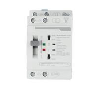 1PCS per ATS Dual Power Automatic Transfer Switch 3263A progettato per commutazione di alimentazione sicura a 220VAC con resistenza di tensione fino a 8000V (2P 32A)