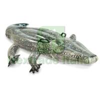 1PZ ALLIGATORE VERO GONFIABILE CAVALCABILE +3 ANNI CM.170X86 PESO KG.0,80 (5755: