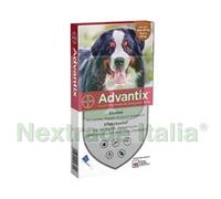 1PZ ANTIPARASSITARIO "ADVANTIX" PER CANI OLTRE KG.40 IN CONF. DA 4 PIPETTE SPOT: