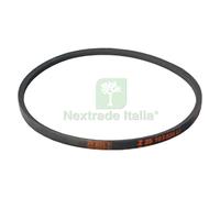 1PZ CINGHIA Z25 PER SPREMIPOMODORO TS PAVI: