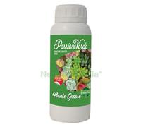1PZ CONCIME LIQUIDO 'PIANTE GRASSE' GR. 500:
