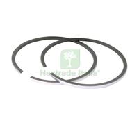 1PZ FASCE PER PISTONE PER DECESPUGL.PG430 430W Ã˜ 40 MM: