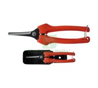 1PZ FORBICI COGLIUVA CM 19 ART. P128 19: