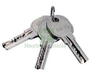 1PZ ISEO ART. 020839 NEW CHIAVI GREZZE R6: