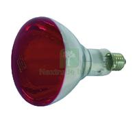 1PZ LAMPADA INFRAROSSI PER RIFLETTORE 150 W E27:
