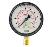 1PZ MANOMETRO CON GLICERINA Ã˜ 63 MM 0 25 BAR: