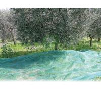 1PZ RETE PER OLIVE ANTISPINE ROTOLO MT. 5X100: