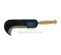 1PZ RONCOLA 'ROMA' CM 24: