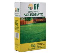 1PZ SEMI PER PRATO SOLEGGIATO KG. 1: