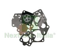 1PZ SERIE MEMBRANE CARBURATORE WALBRO WAT 301: