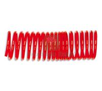 1PZ SPIRALE ELASTICA PER COMPRESSORI MT. 15 Ï TUBO MM.10X8: