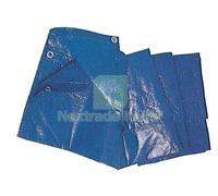 1PZ TELI IN POLIETILENE TELONE PE STANDARD CON OCCHIOLI BLU MT.5X6: