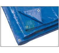 1PZ TELO OCCHIELLATO MULTIUSO IN POLIETILENE COL. BLU MT. 8X10: