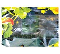 1PZ TELO PACCIAMATURA PE FORATO NERO MT.1,5X5: