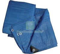 1PZ TELONE OCCHIELLATO PE BLU WORKIT GR MQ 90 MT 8X10 + POLIECO: