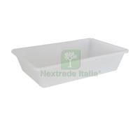 1PZ VASCHETTA PER PESCE CM 50 X 34 X H 12: