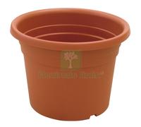 1PZ VASO A CILINDRO DAHLIA CM. 70 (Ï) X 50 H:
