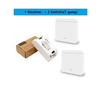 (1R 2W) 433 MHz Interruttore luce intelligente Interruttore a pulsante LED Telecomando universale wireless AC90~250
