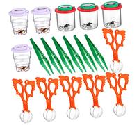 1Set Insetti per Kit Esploratore con Pinzette Scatole Ingrandimento e Campioni Insetti Falsi per Osservazione Della Natura