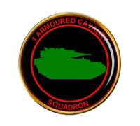 1st Blindato Cavalleria Squadron (Irlandese Militare) Spilla