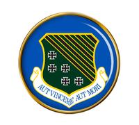 1st Fighter Ali USAF Spilla