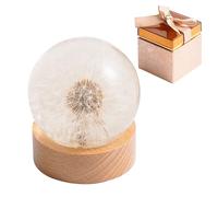 1st Heaven Dente di leone reale in resina, palla dei desideri del dente di leone eterno, fermacarte in confezione regalo, decorazione unica per casa e ufficio, perfetta per compleanni, matrimoni e