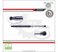 1x Ammortizatore molla cofano Exxn per BMW 3 E93 335 330 325 323 320 318 E92 31