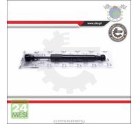 1x Ammortizatore molla cofano Exxn per FIAT MULTIPLA