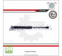 1x Ammortizatore molla cofano Exxn per FORD FIESTA ##l