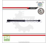 1x Ammortizatore molla cofano Exxn per MINI
