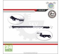 1x Ammortizatore molla cofano Exxn Posteriore per TOYOTA YARIS #bw