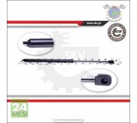 1x Ammortizatore molla cofano Exxn Sx Sinistro per MERCEDES CLASSE CLC 350 230