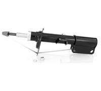1x Ammortizzatore a Gas Anteriore Destro per BMW X5 2000-2006