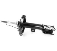 1x Ammortizzatore a Gas Anteriore Destro per Citroën C4, Peugeot 307 2001-