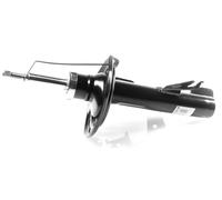 1x Ammortizzatore a Gas Anteriore GH-351021H