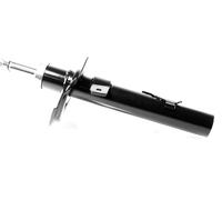 1x Ammortizzatore a Gas Anteriore GH-352542V